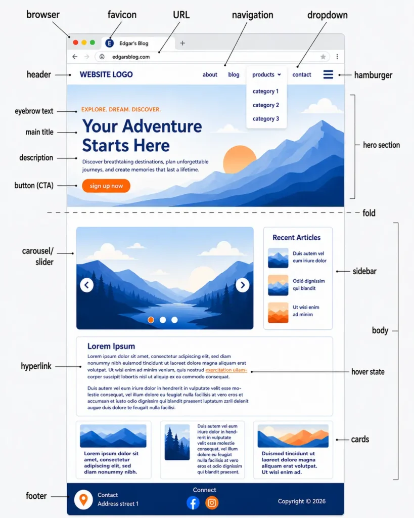 Website Anatomy Infograhics